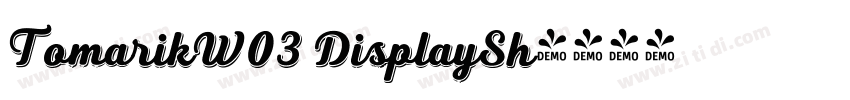 TomarikW03 DisplaySh字体转换